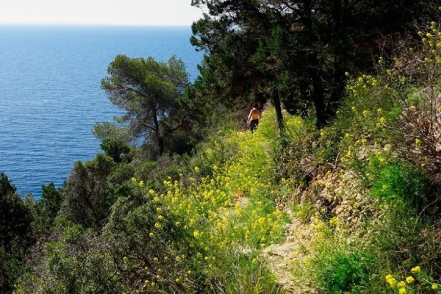 Caminant a Cala Llentrisca